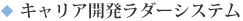 キャリア開発ラダーシステム