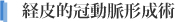 経皮的冠動脈形成術(PCI)